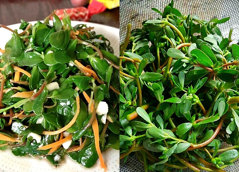 Rau sam: "Vua canxi" 0 đồng và bí quyết chế biến ngon hơn thịt